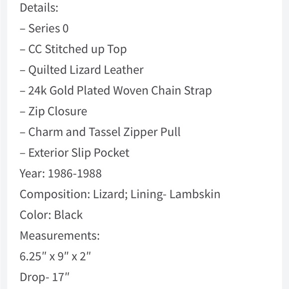 Chanel Lizzard Camera Bag - Picture 2 of 4